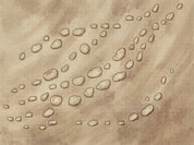 Map Bundle - Desert Delta, Cities & Ancient Encounters